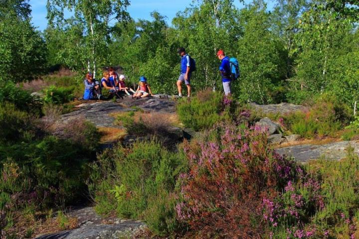 Camping Marvilla Parks -Parc Des Roches 91530 Saint-Cheron Luaran gambar
